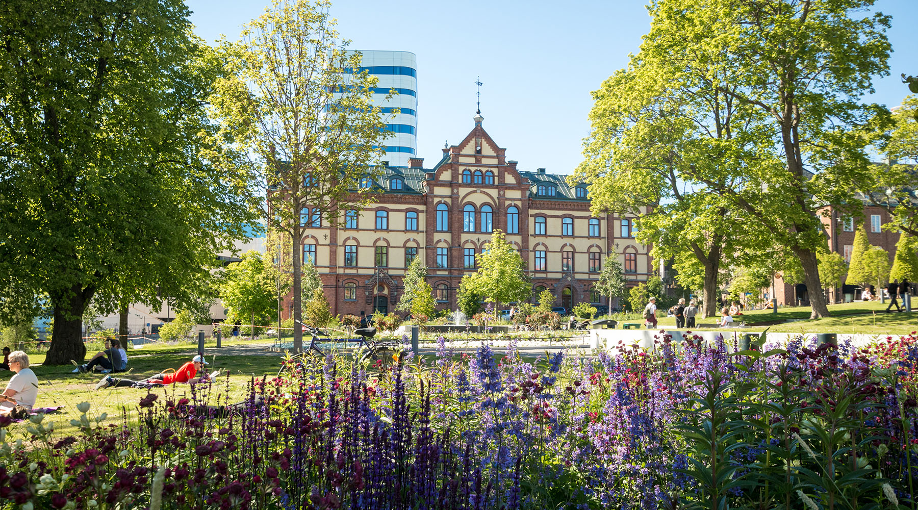 Skyltar och företagsmiljö i centrala Umeå
