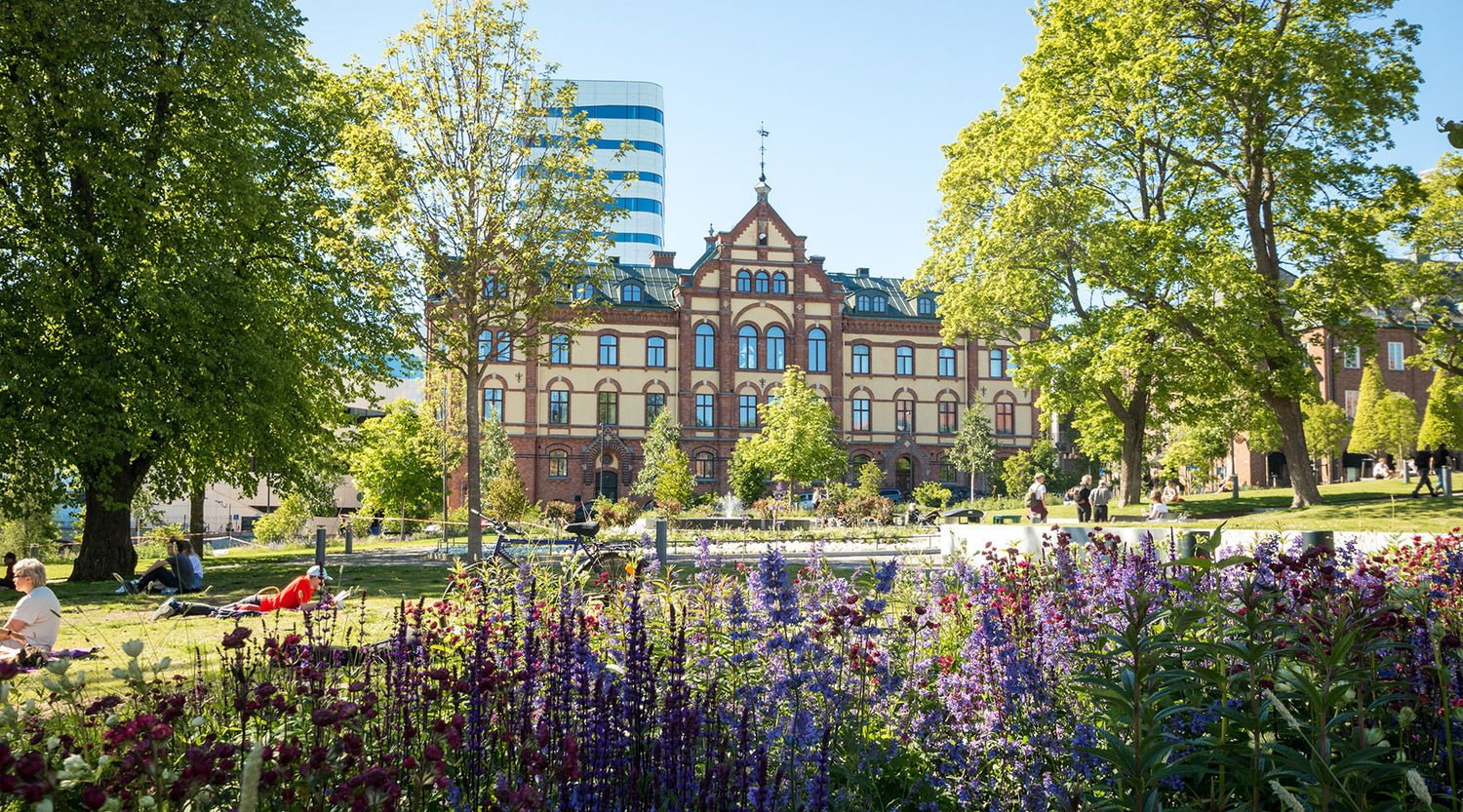 Skyltar och företagsmiljö i centrala Umeå